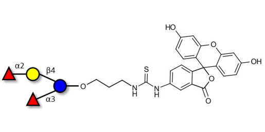 Difucosyllactose (DFL) / Lactodifucotetraose linked to fluorescein (Linker-FLUO A)