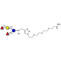 Difucosyllactose (DFL) / Lactodifucotetraose grafted on gel for affinity chromatography (Linker-GEL A)
