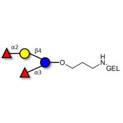 Difucosyllactose (DFL) / Lactodifucotetraose grafted on gel for affinity chromatography (Linker-GEL B)