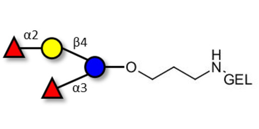 Difucosyllactose (DFL) / Lactodifucotetraose grafted on gel for affinity chromatography (Linker-GEL B)