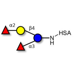 Difucosyllactose (DFL) / Lactodifucotetraose grafted on HSA
