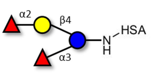 Difucosyllactose (DFL) / Lactodifucotetraose grafted on HSA