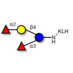 Difucosyllactose (DFL) / Lactodifucotetraose grafted on KLH