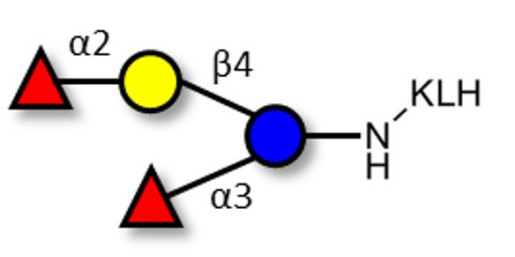 Difucosyllactose (DFL) / Lactodifucotetraose grafted on KLH