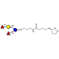 Difucosyllactose (DFL) / Lactodifucotetraose with cyclic di-thiol (Linker-LIPO A)
