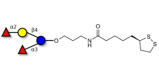 Difucosyllactose (DFL) / Lactodifucotetraose with cyclic di-thiol (Linker-LIPO A)