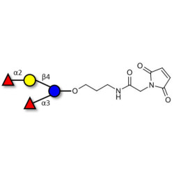 Difucosyllactose (DFL) / Lactodifucotetraose linked to maleimide (Linker-MAL A)
