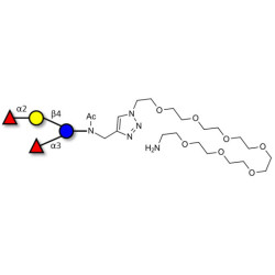 Difucosyllactose (DFL) / Lactodifucotetraose with free terminal amine (Linker-NH2 C)