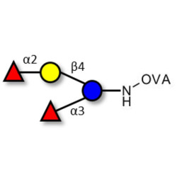 Difucosyllactose (DFL) / Lactodifucotetraose grafted on OVA