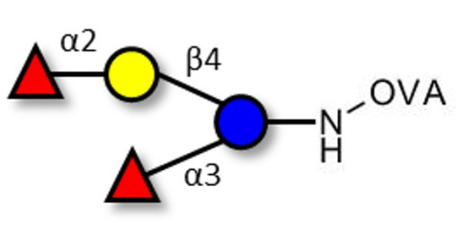 Difucosyllactose (DFL) / Lactodifucotetraose grafted on OVA