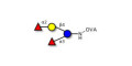 Difucosyllactose (DFL) / Lactodifucotetraose grafted on OVA
