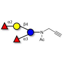 Difucosyllactose (DFL) / Lactodifucotetraose with terminal alkyne (Linker-CΞCH A)