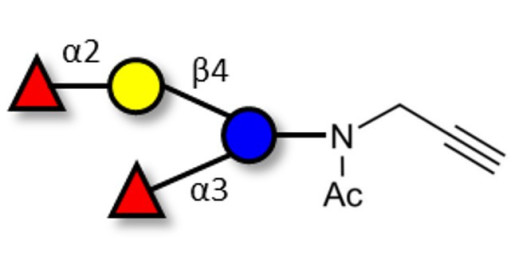 Difucosyllactose (DFL) / Lactodifucotetraose with terminal alkyne (Linker-CΞCH A) - GLY066-NPR