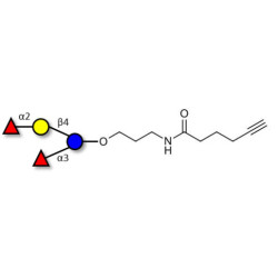 Difucosyllactose (DFL) / Lactodifucotetraose with terminal alkyne (Linker-CΞCH C)