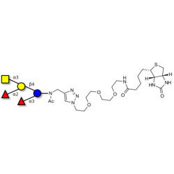 Blood group A pentaose linked to biotin (Linker-BT A)