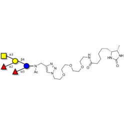 Blood group A pentaose linked to desthiobiotin (Linker-DBT-A)