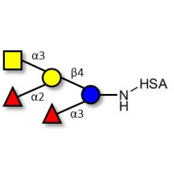 Blood group A pentaose grafted on HSA