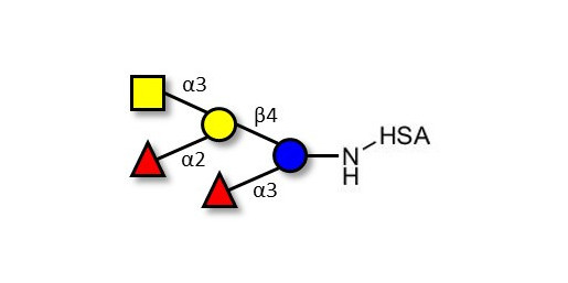Blood group A pentaose grafted on HSA