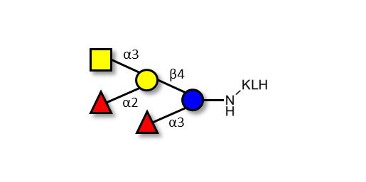 Blood group A pentaose grafted on KLH