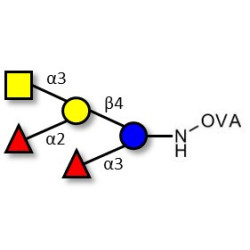 Blood group A pentaose grafted on OVA