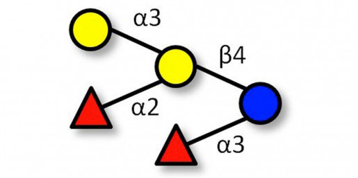 Blood group B pentaose (>90% NMR) - Blood Group B pentasaccharide ; B-pentasaccharide