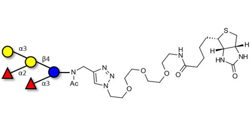 Blood group B pentaose linked to biotin (Linker-BT A)