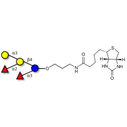 Blood group B pentaose linked to biotin (Linker-BT B)