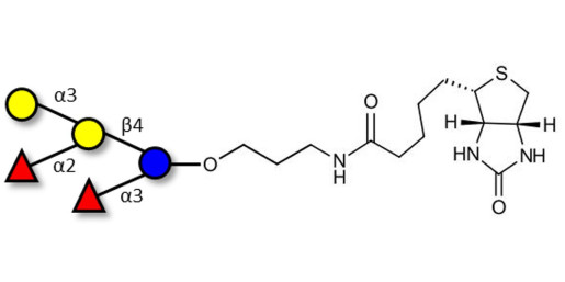 Blood group B pentaose linked to biotin (Linker-BT B)