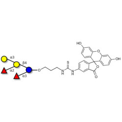 Blood group B pentaose linked to fluorescein (Linker-FLUO A)