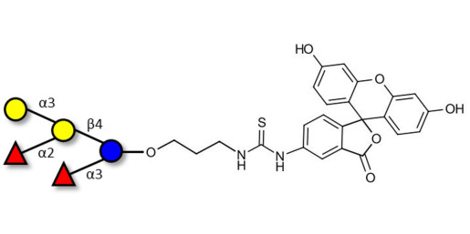 Blood group B pentaose linked to fluorescein (Linker-FLUO A)