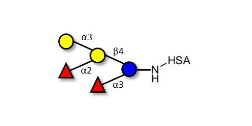 Blood group B pentaose grafted on HSA