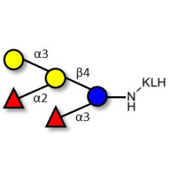 Blood group B pentaose grafted on KLH