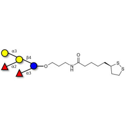 Blood group B pentaose with cyclic di-thiol (Linker-LIPO A)