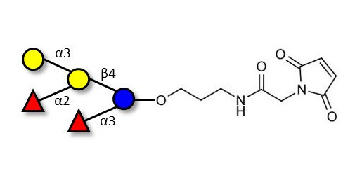 Blood group B pentaose linked to maleimide (Linker-MAL A)