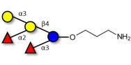 Blood group B pentaose with...