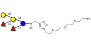 Blood group B pentaose with...