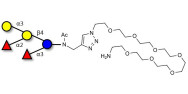 Blood group B pentaose with...
