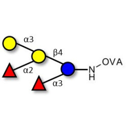 Blood group B pentaose grafted on OVA