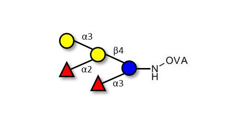 Blood group B pentaose grafted on OVA