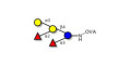Blood group B pentaose grafted on OVA
