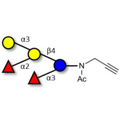 Blood group B pentaose with terminal alkyne (Linker-CΞCH A)