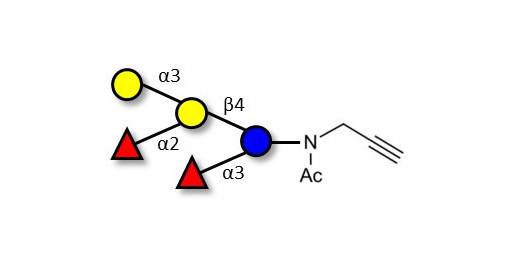 Blood group B pentaose with terminal alkyne (Linker-CΞCH A)