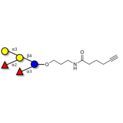 Blood group B pentaose with terminal alkyne (Linker-CΞCH C)