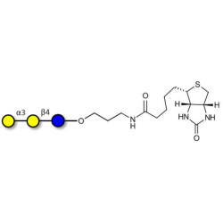 Isoglobotriose (iGb3) linked to biotin (Linker-BT B)