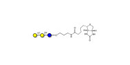 Isoglobotriose (iGb3)...