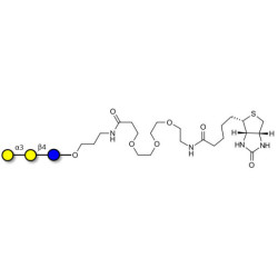 Isoglobotriose (iGb3) linked to biotin (Linker-BT C)