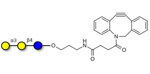 Isoglobotriose (iGb3) with DBCO (Linker-DBCO A) - linear B-6 trisaccharide ; IsoGb3; 3α,4β-Galactotriose; 3'-Galactosyl-lactose