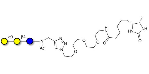 Isoglobotriose (iGb3) linked to desthiobiotin (Linker-DBT-A) - linear B-6 trisaccharide ; IsoGb3; 3α,4β-Galactotriose; 3'-Galactosyl-lactose