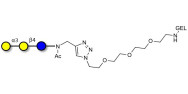 Isoglobotriose (iGb3)...