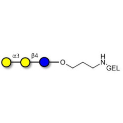 Isoglobotriose (iGb3) grafted on gel for affinity chromatography (Linker-GEL B)